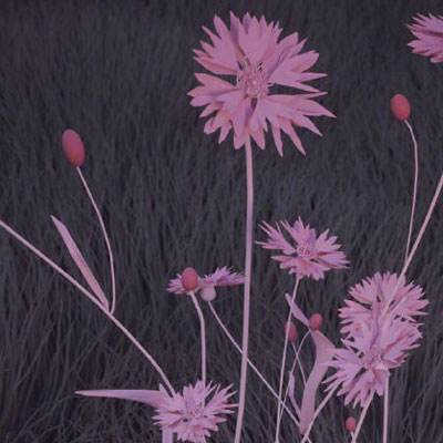 云开·(kaiyun)官方网站