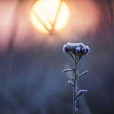 爱游戏平台app下载