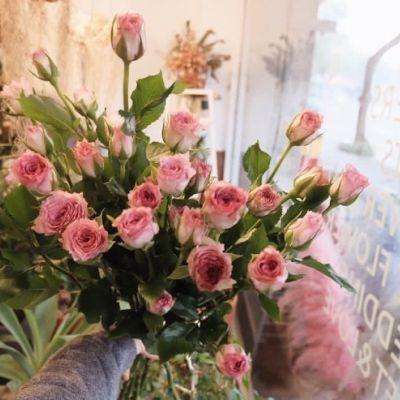 28网站下载手机版