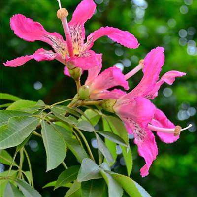 天博体育官网入口下载手机版