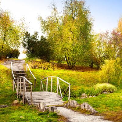 半岛网页版下载手机版